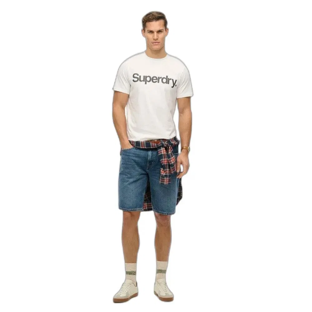 Мужская футболка с принтом Core Logo Superdry, Weiß — фото 3
