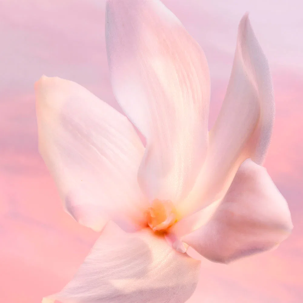 Парфюмерная вода La Vie Est Belle Vanille Nude, 30 мл Lancôme — фото 3