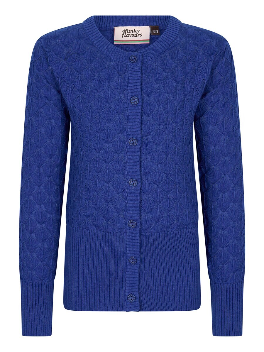 

Кардиган 4funkyflavours Knit Cardigan Blue Soul, синий
