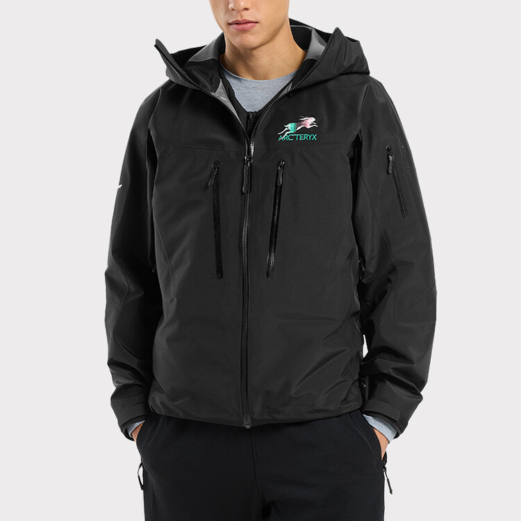 Куртка ALPHA SV мужская LNY 2023 Arcteryx, цвет LNY 2023 — фото 2