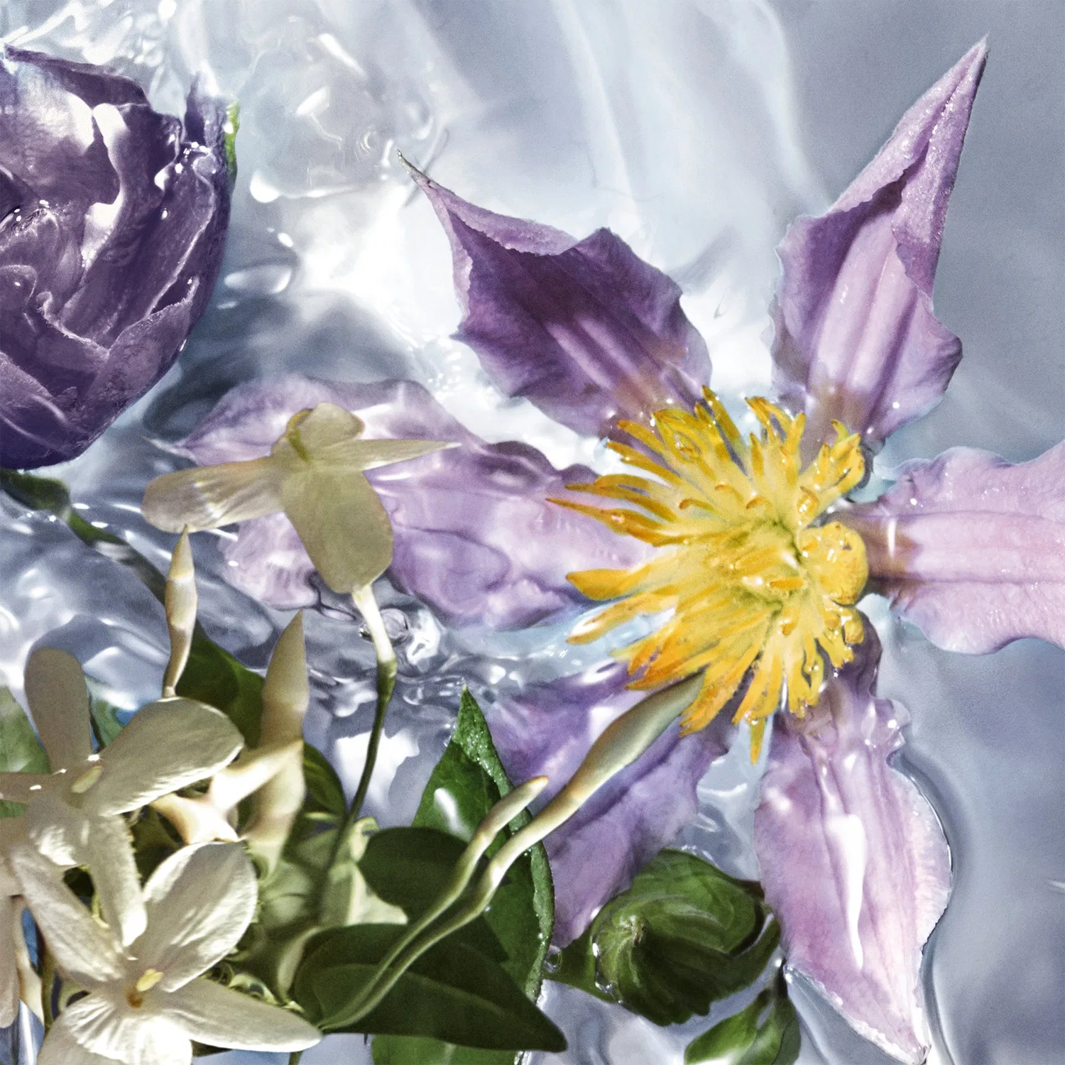 Туалетная вода заправка Aqua Allegoria Flora Salvaggia GUERLAIN, 200 мл — фото 2