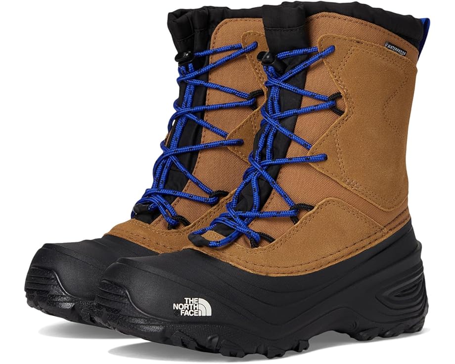 

Ботинки The North Face Kids Alpenglow V Waterproof, цвет Utility Brown/TNF Blue