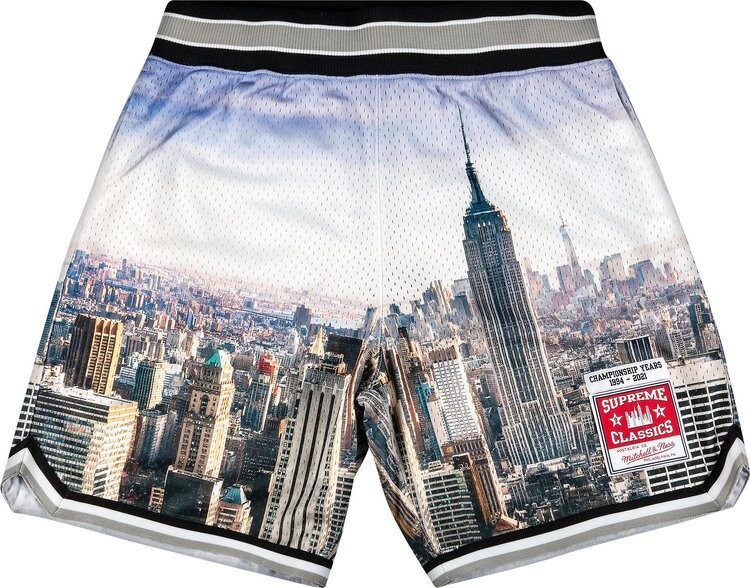 Шорты Supreme x Mitchel And Ness Basketball Short 'Skyline', разноцветный — фото 2