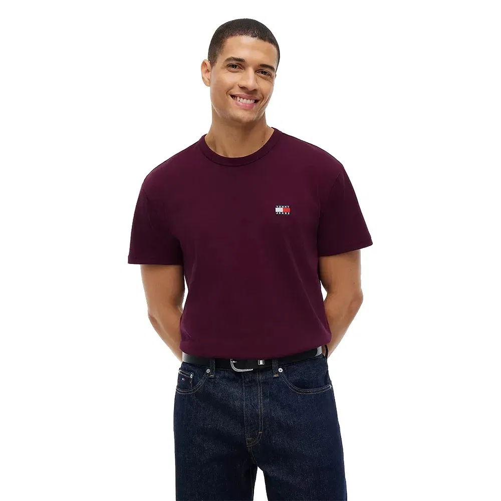 Мужская футболка с коротким рукавом Tommy hilfiger, Purple