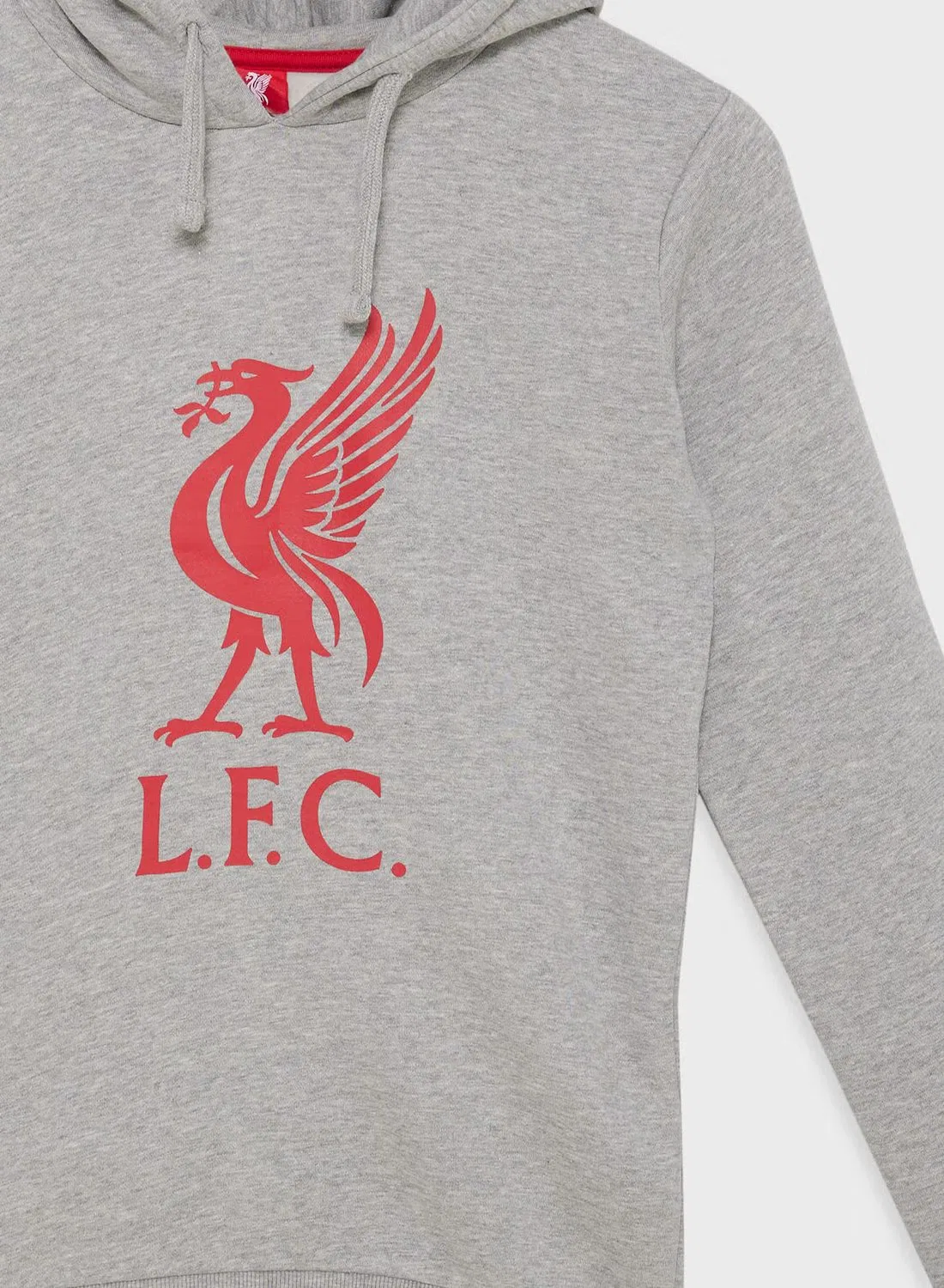 Худи с принтом логотипа Liverpool Fc, серый — фото 3