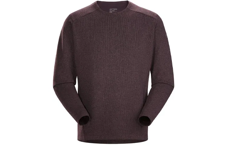 Мужской флисовый свитер с длинным рукавом Arcteryx, Phantasm Purple/Phantasm Heather