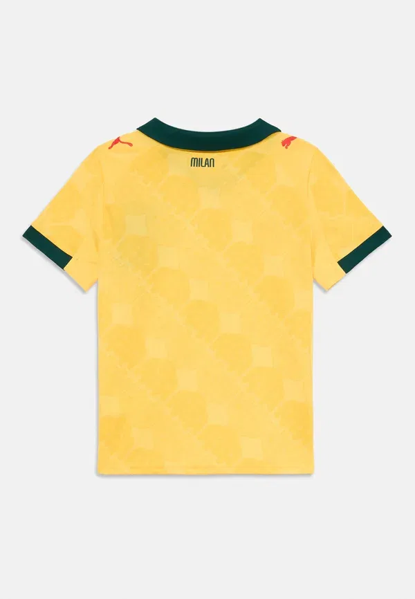 Футболка с принтом Acm 3rd replica, Puma, Sunny Yellow, Dark Myrtle — фото 2