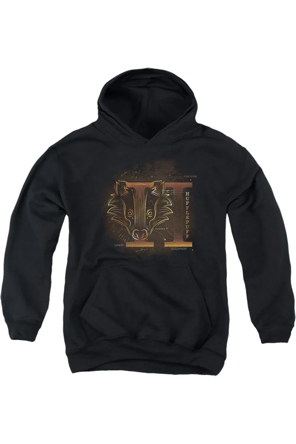Детское худи с капюшоном с принтом Harry Potter Celestial Nomad Hufflepuff Gildan, черный