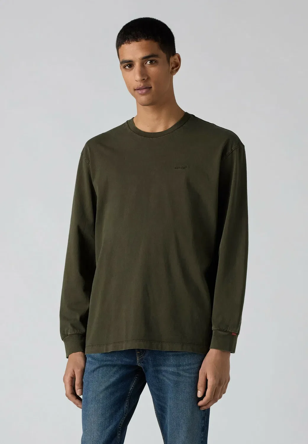 Оригинальная футболка с длинными рукавами Levi'S, Garment Dye Rosin - Greens