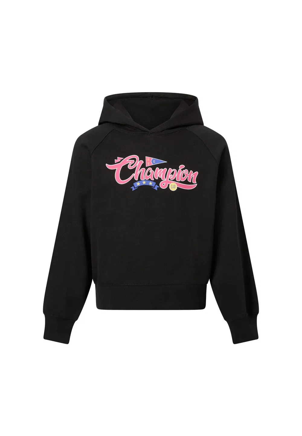 Толстовка стандартного кроя Champion, Black — фото 4