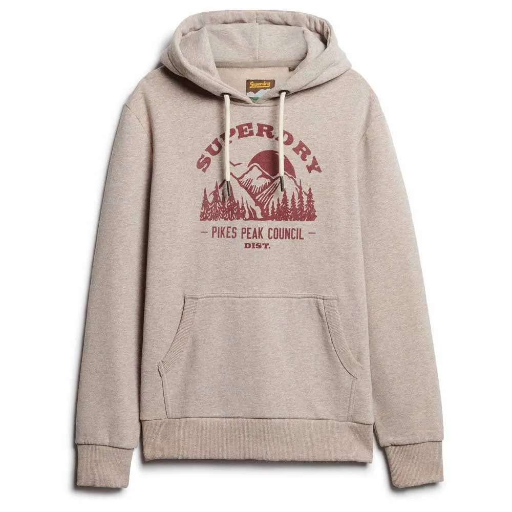 

Худи Superdry Lo-Fi Outdoor Graphic, бежевый