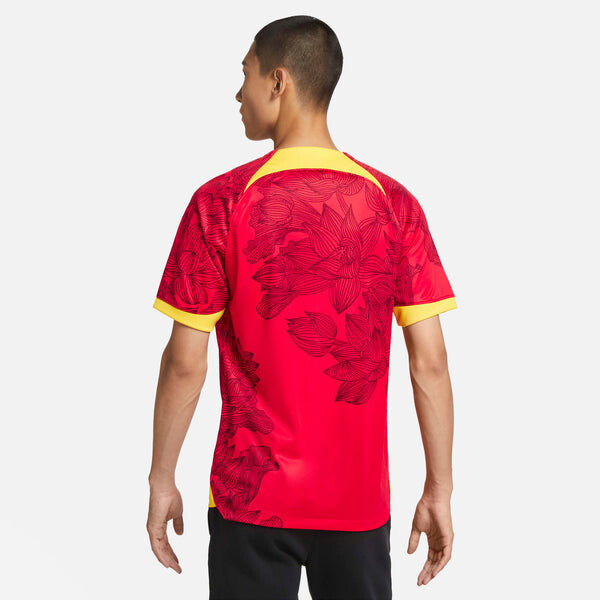 Футболка dri fit Футболка guangzhou fc Nike, красный — фото 2