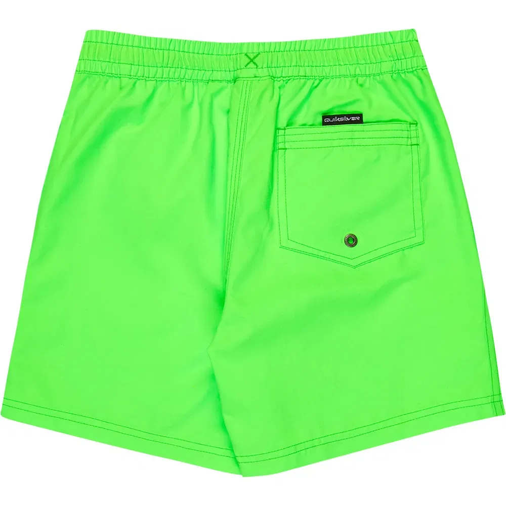 Детские плавки для мальчиков с быстросохнущей тканью Everyday Volley 14 Quiksilver, Green — фото 2