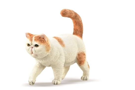 

Коллекционная фигурка Collecta, экзотической короткошерстной кошки