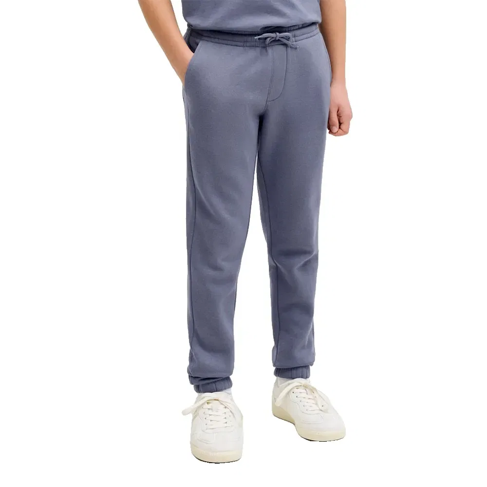 Спортивные брюки Gorm Reg Logo Sw Pant JJ Rebel, серый