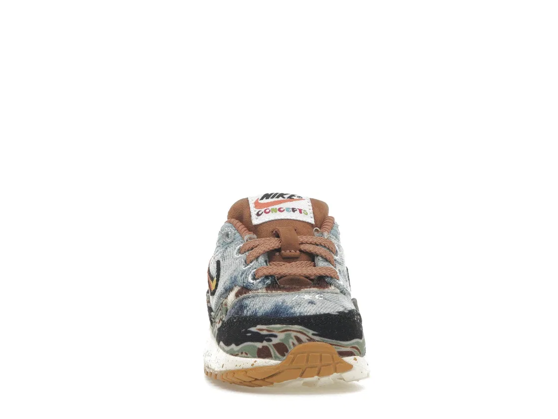 Детские кроссовки Lifestyle с принтом Nike Air Max 1 SP Concepts Heavy, Elemental Gold/Sail-Black-Worn Blue — фото 2
