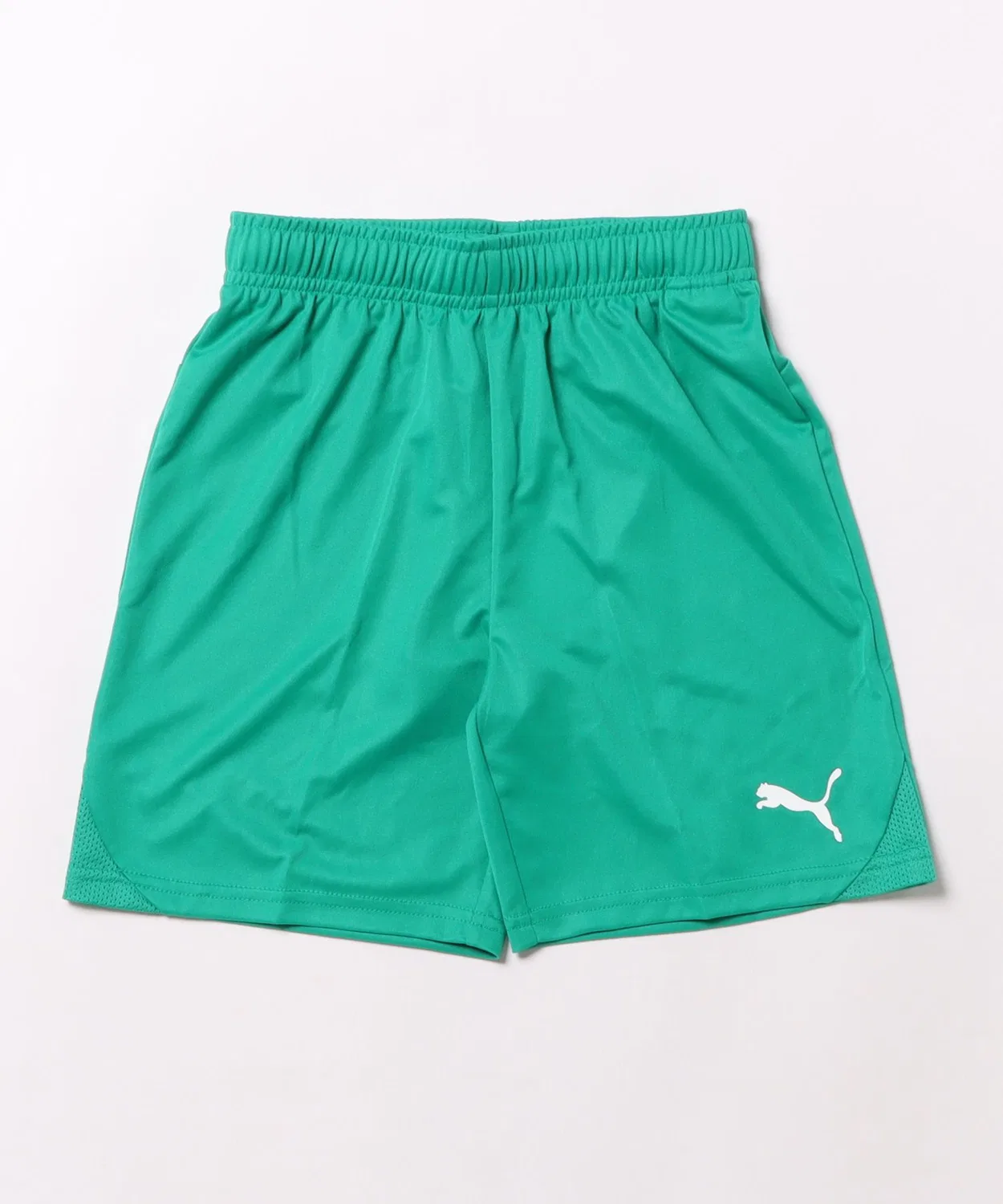 Детские шорты с технологией DRYCELL Teamgoal Game Shorts JR PUMA, Green