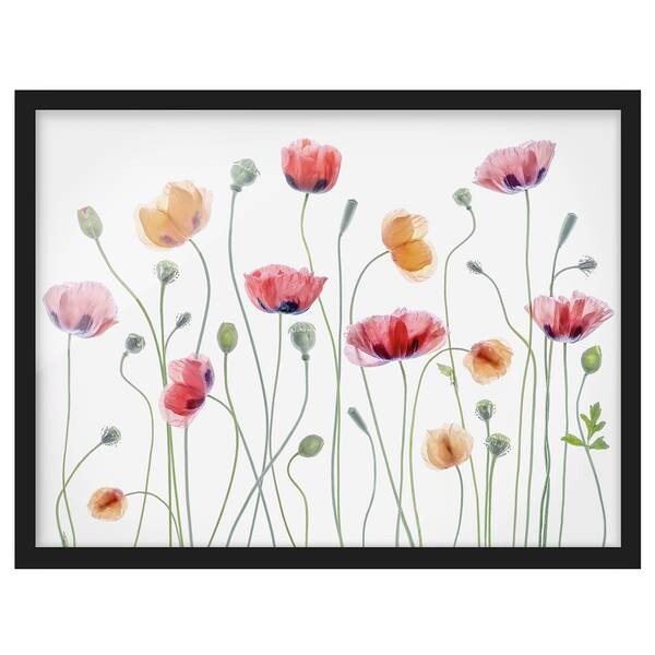 

Картина Bilderwelten Klatschmohn Party I, белый