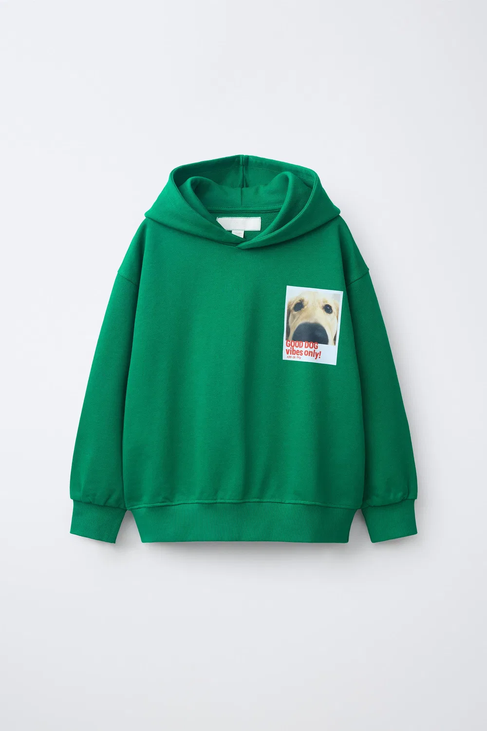 Толстовка с фотографией собаки ZARA, Green