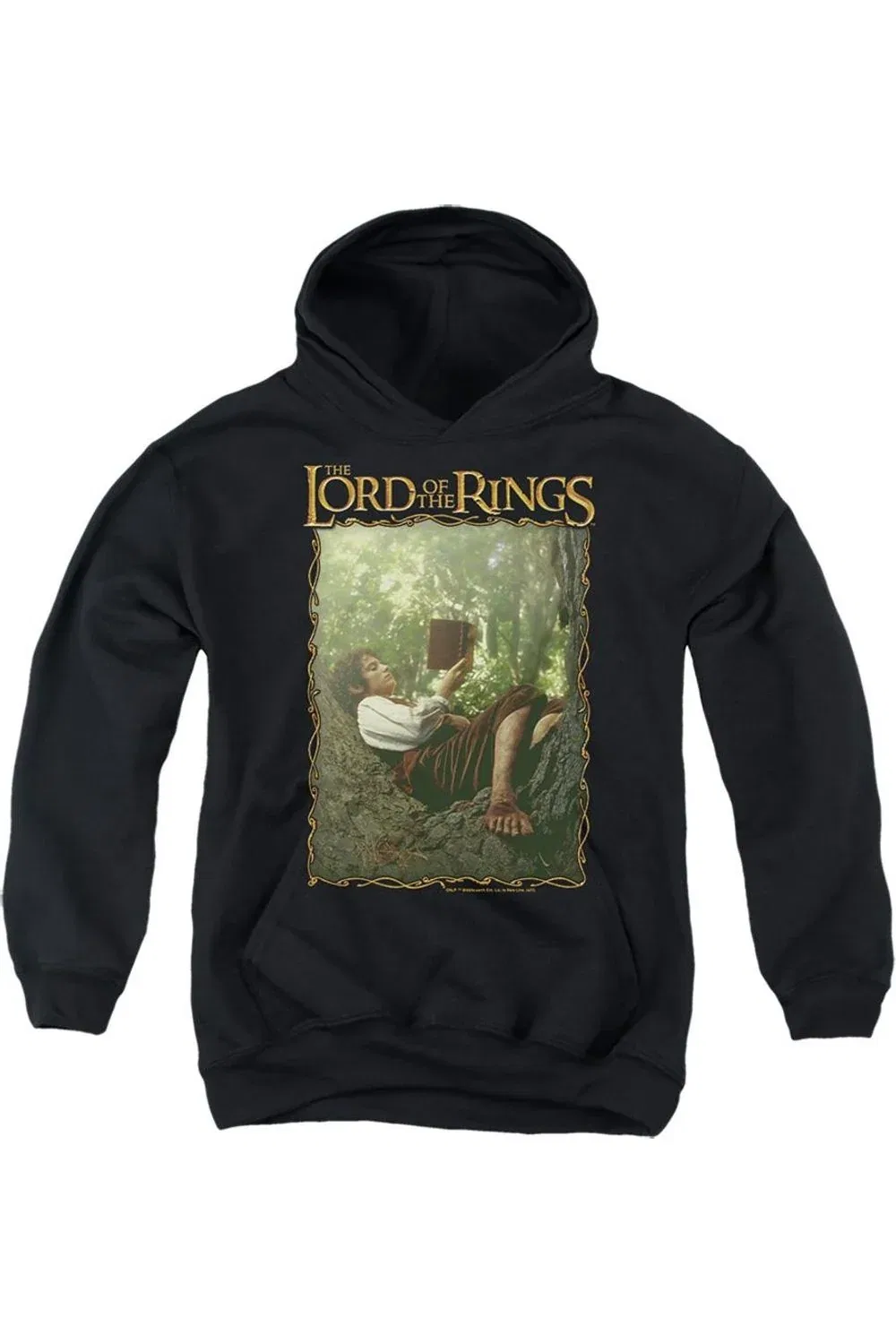Детское худи с капюшоном Lord Of The Rings Reader Frodo Gildan, черный