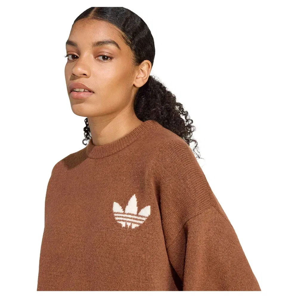 Толстовка трикотажная Adidas Originals, коричневый — фото 4