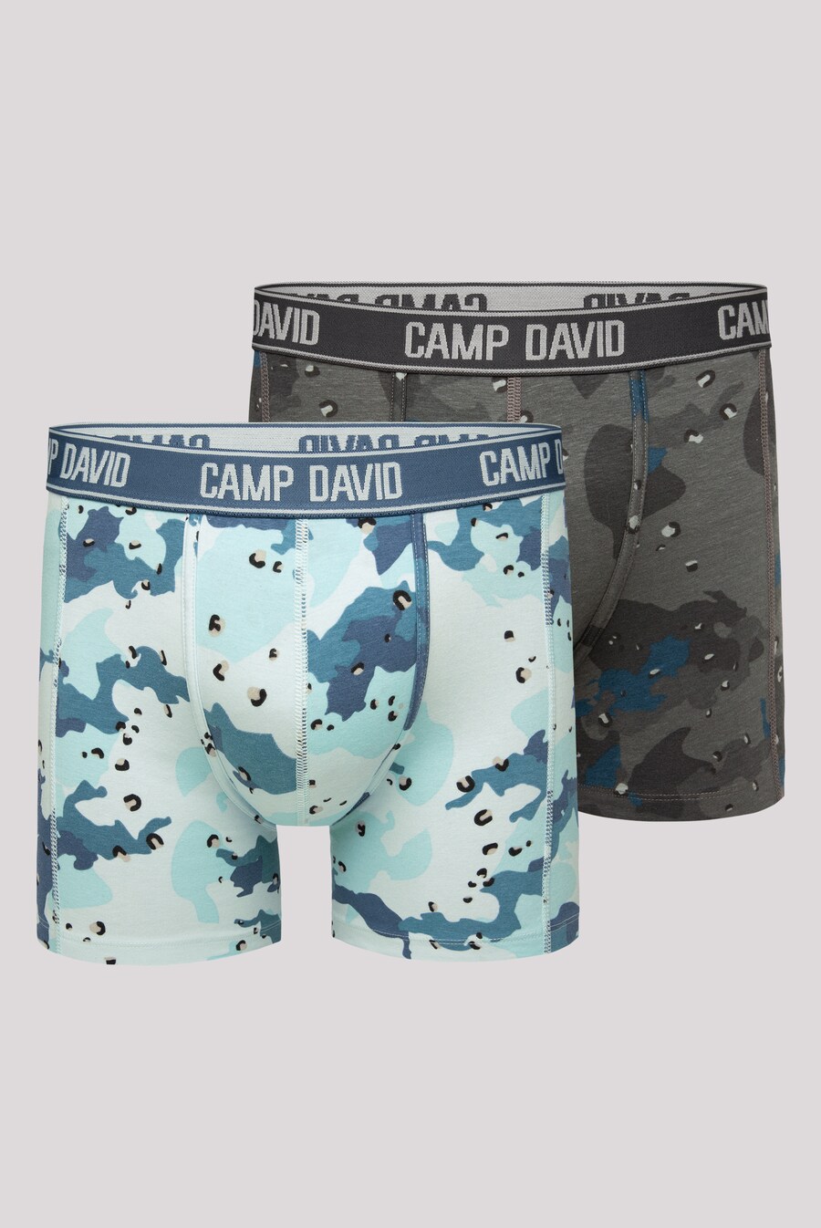 

Боксеры CAMP DAVID, разноцветный