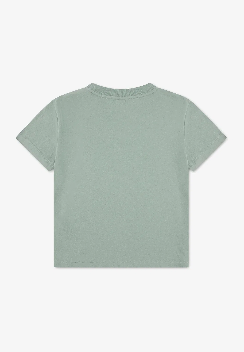 Классическая футболка с цветочным принтом Abercrombie & Fitch, Iceberg Green — фото 2