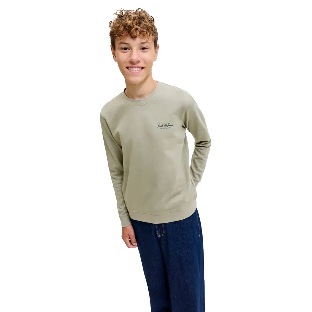 Детский свитшот с принтом Archive Graphic Jack & jones, Green — фото 4