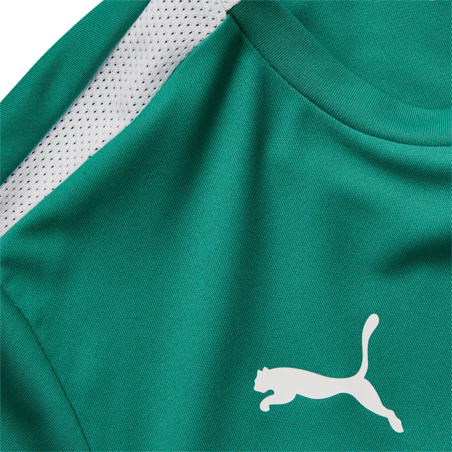 Детская футболка с коротким рукавом TeamLIGA Puma, Grun — фото 3