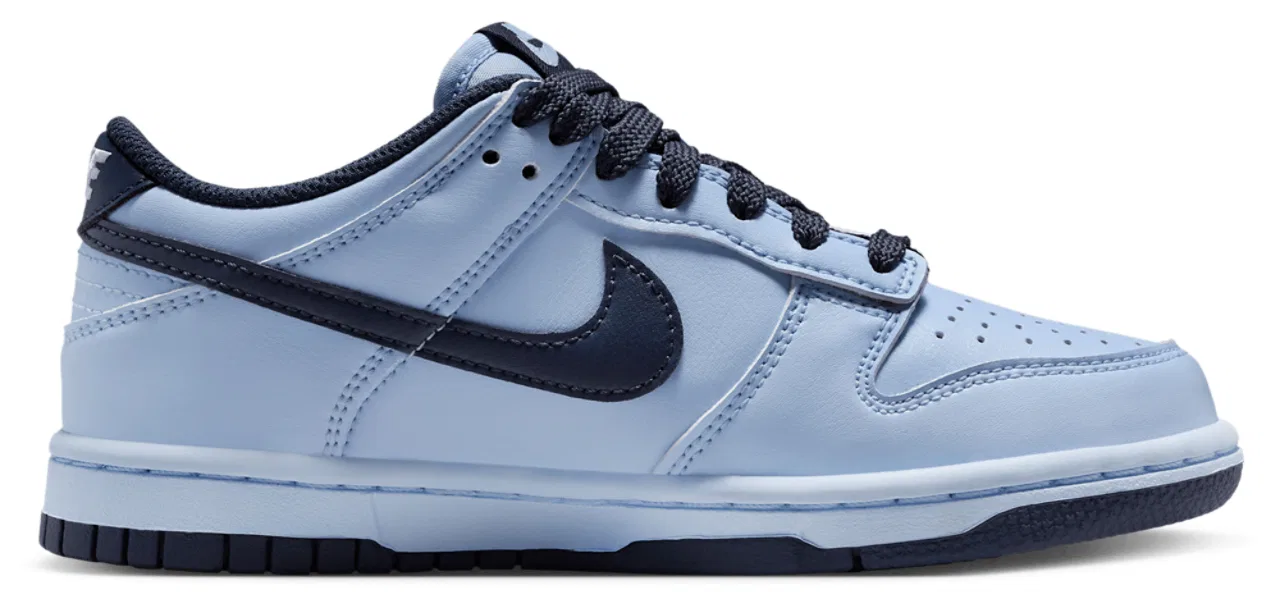 Кроссовки для мальчиков Dunk Low Lv8 2 Nike, цвет Hydrogen Blue/Hydrogen Blue/Thunder Blue