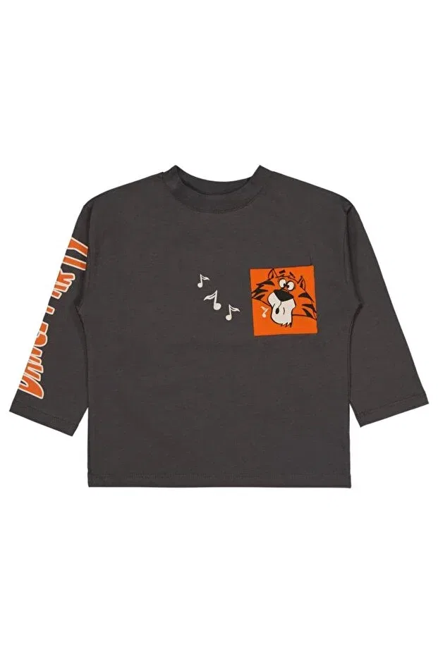 Детские свитшот для мальчиков с принтом Dance Party Printed Civil Boys, Anthracite