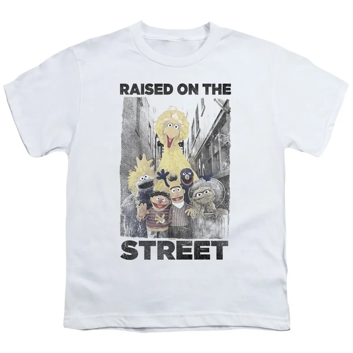 Футболка с принтом Raised on the streets Sesame Street, White