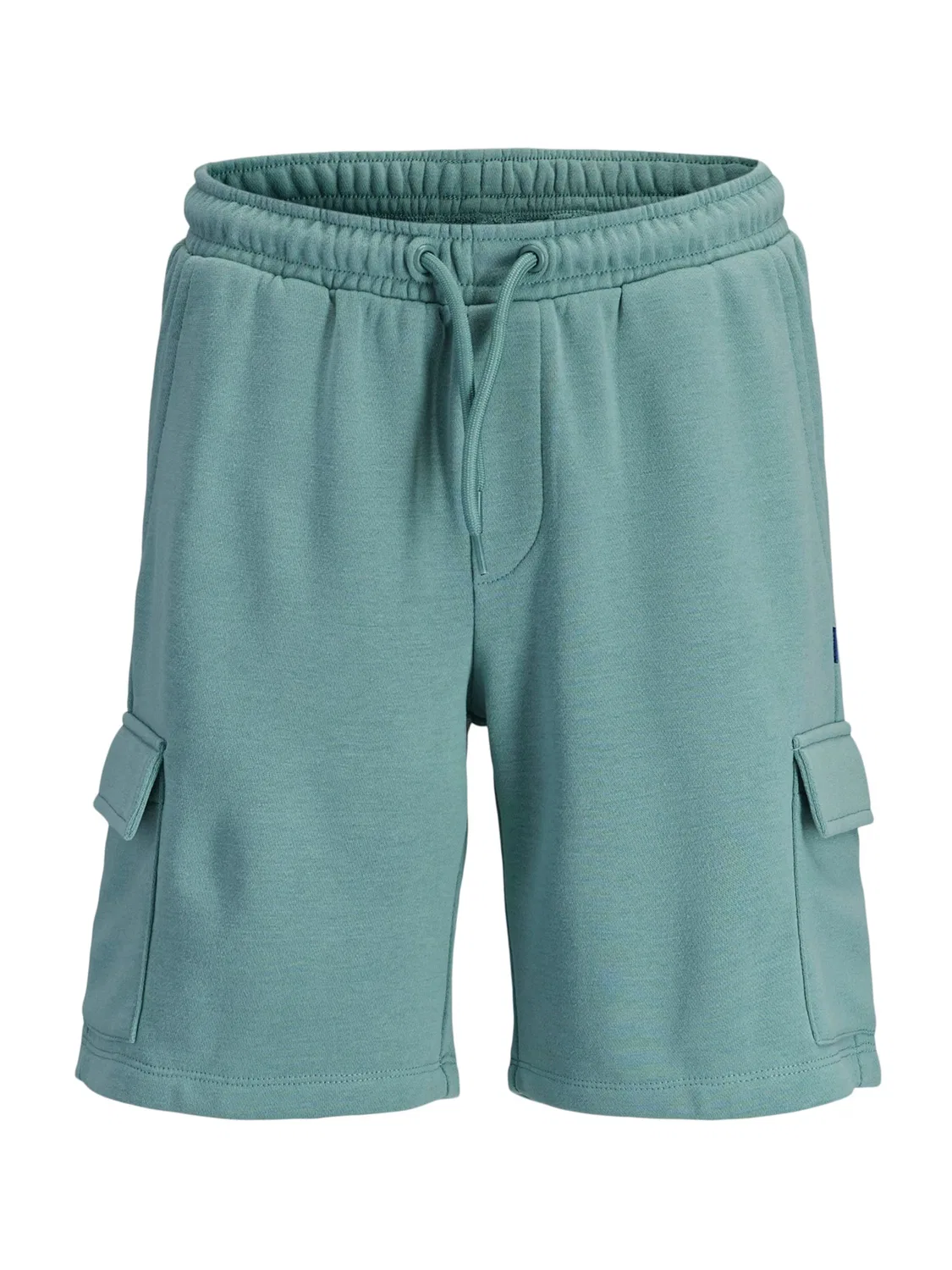 Обычные брюки 'JPSTBRADLEY' Jack & Jones Junior, Jade