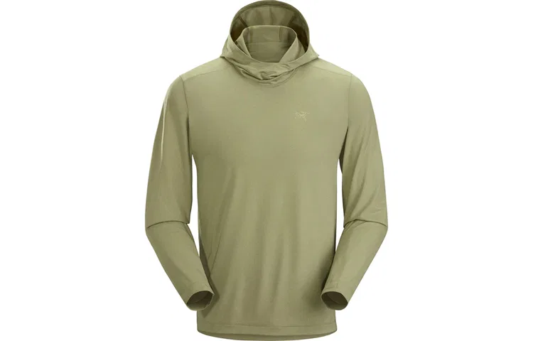 Мужской свитшот с капюшоном Arcteryx REMIGE, Cryptochrome/Gray — фото 3