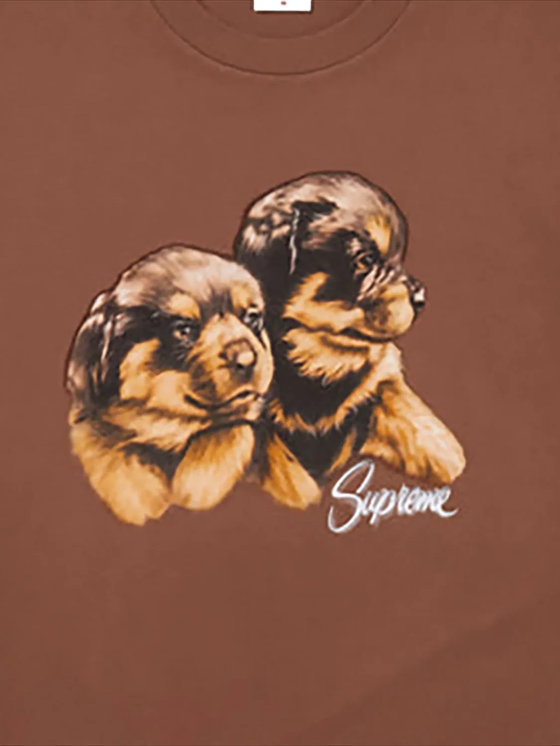 Футболка Puppies коричневая Supreme, коричневый — фото 2