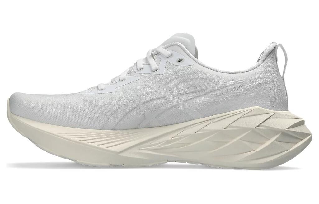 

Asics Novablast 4 Кроссовки Мужчины, Beige