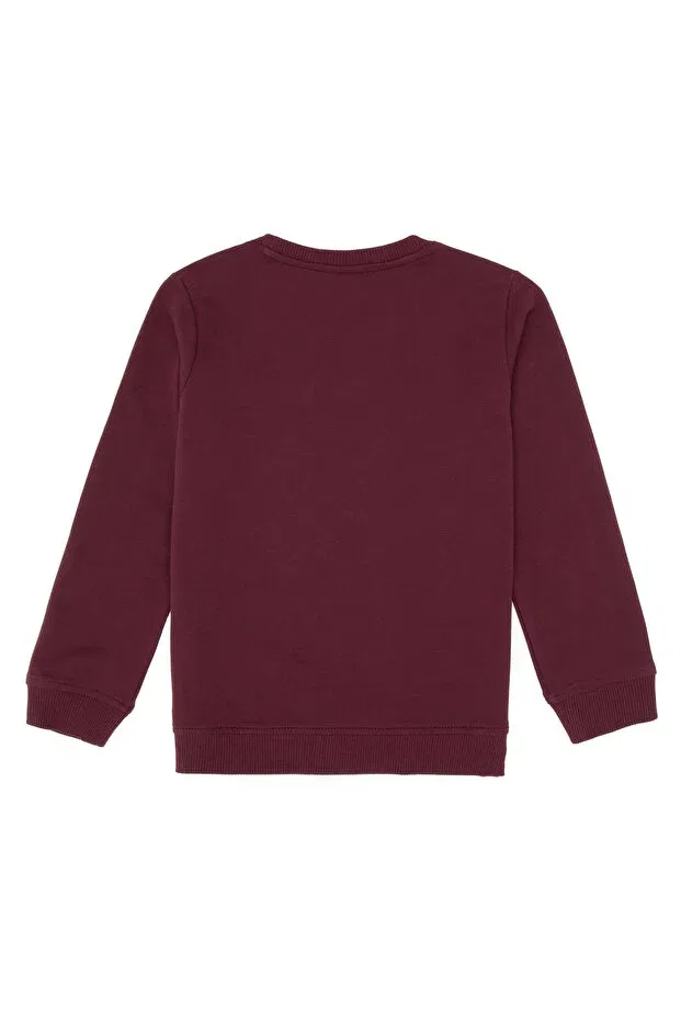 Детские свитшот для мальчиков хлопковый U.S. Polo Assn., Plum — фото 2