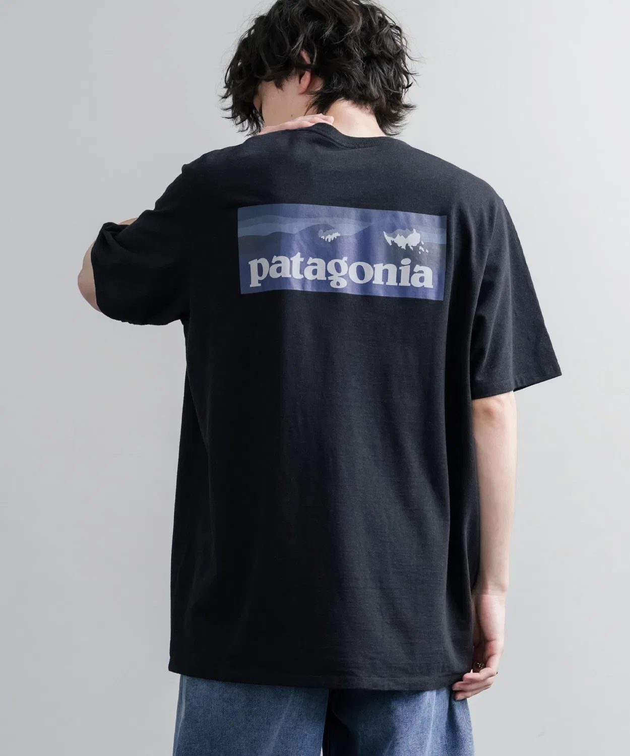 Мужская футболка с принтом сзади и нагрудным карманом Patagonia, Black