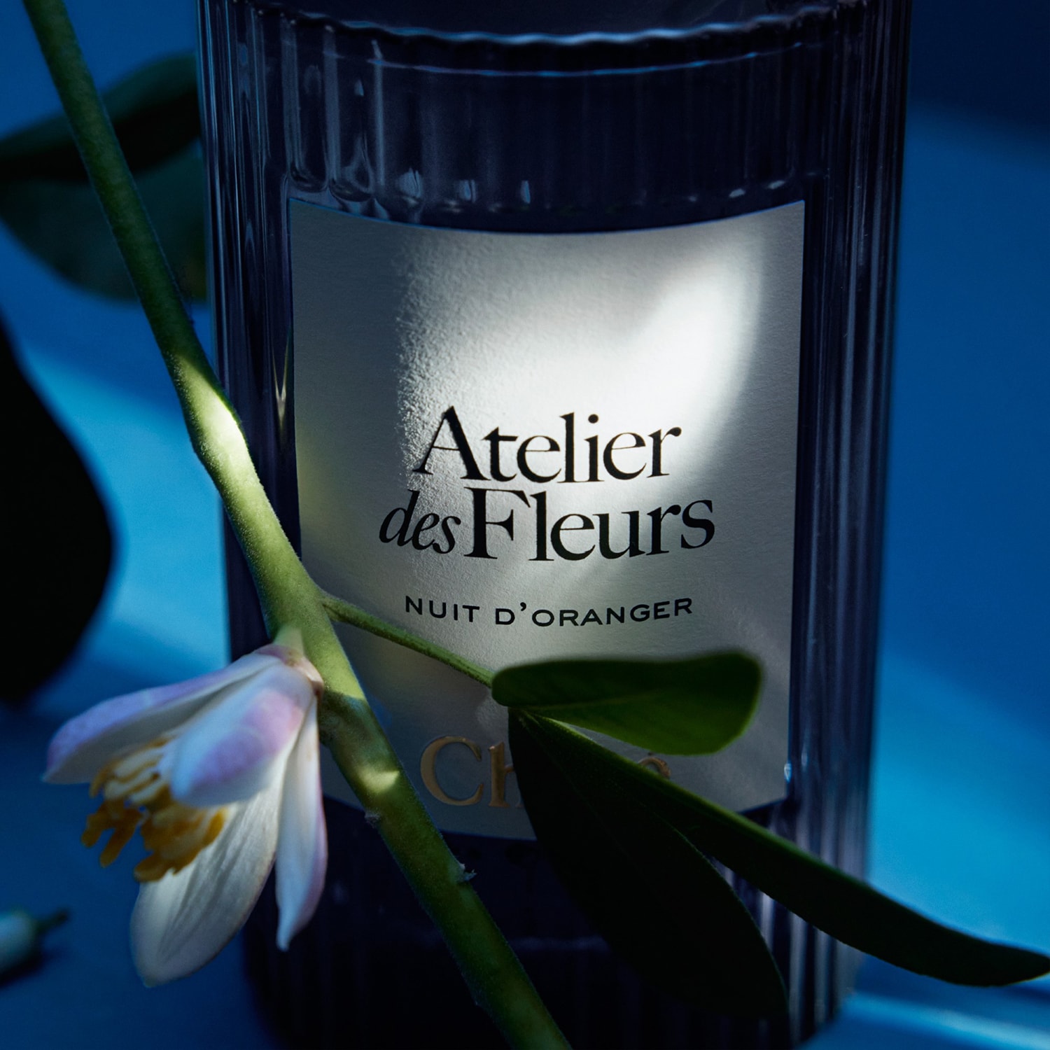 Парфюмерная вода Chloé Atelier des Fleurs Nuit d'oranger — фото 3