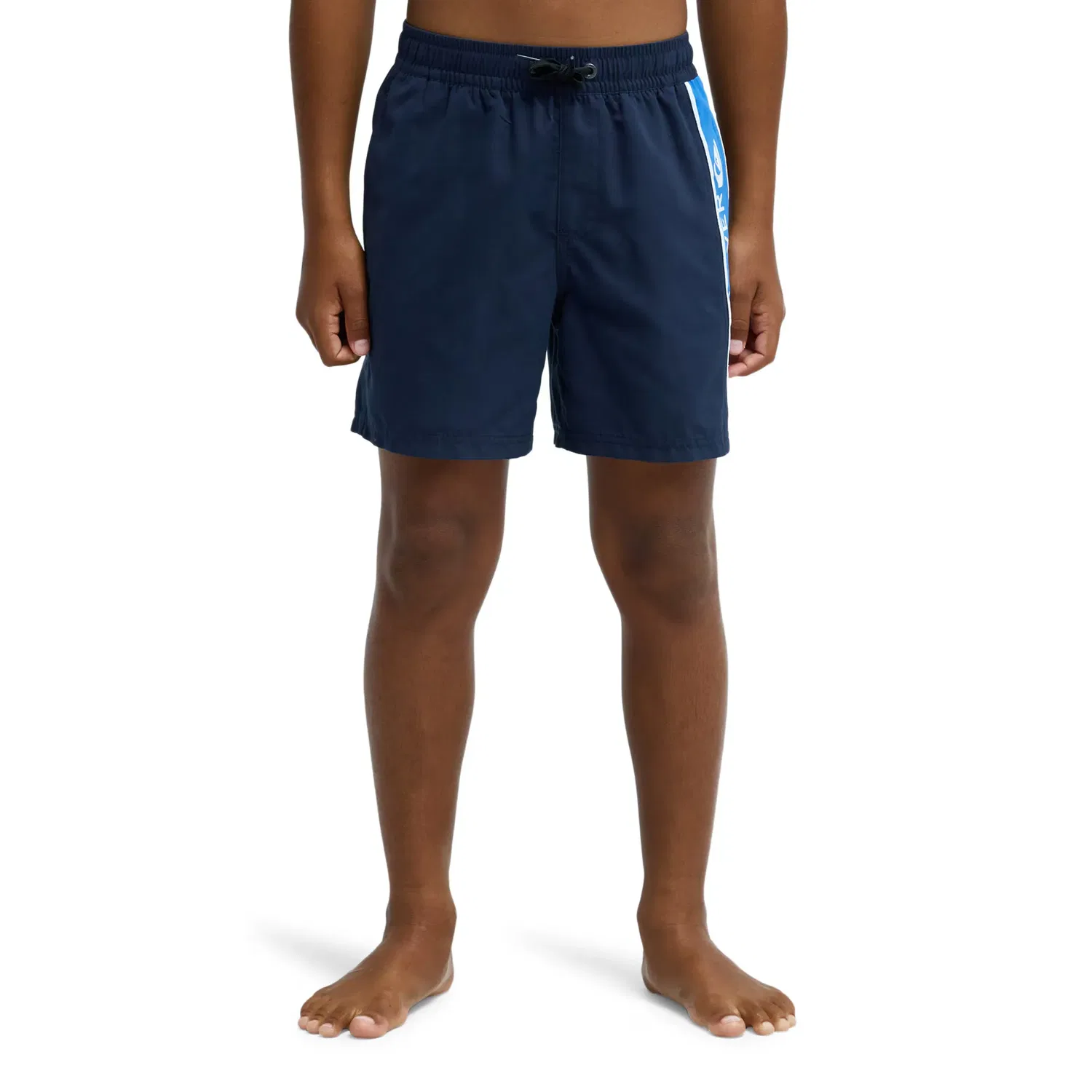 Детский плавки для мальчиков с принтом Everyday Clicker Volley 15" Quiksilver, Azul Marino