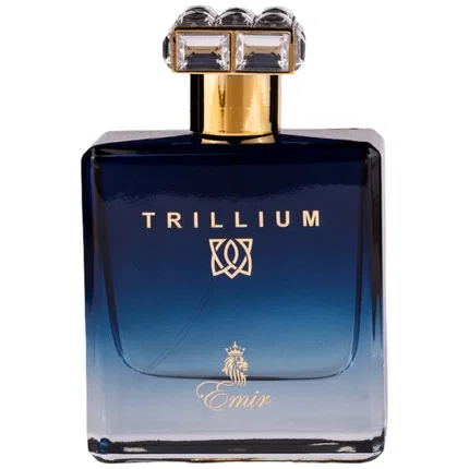 Парфюмерная вода Emir Trillium Paris Corner, 100 мл