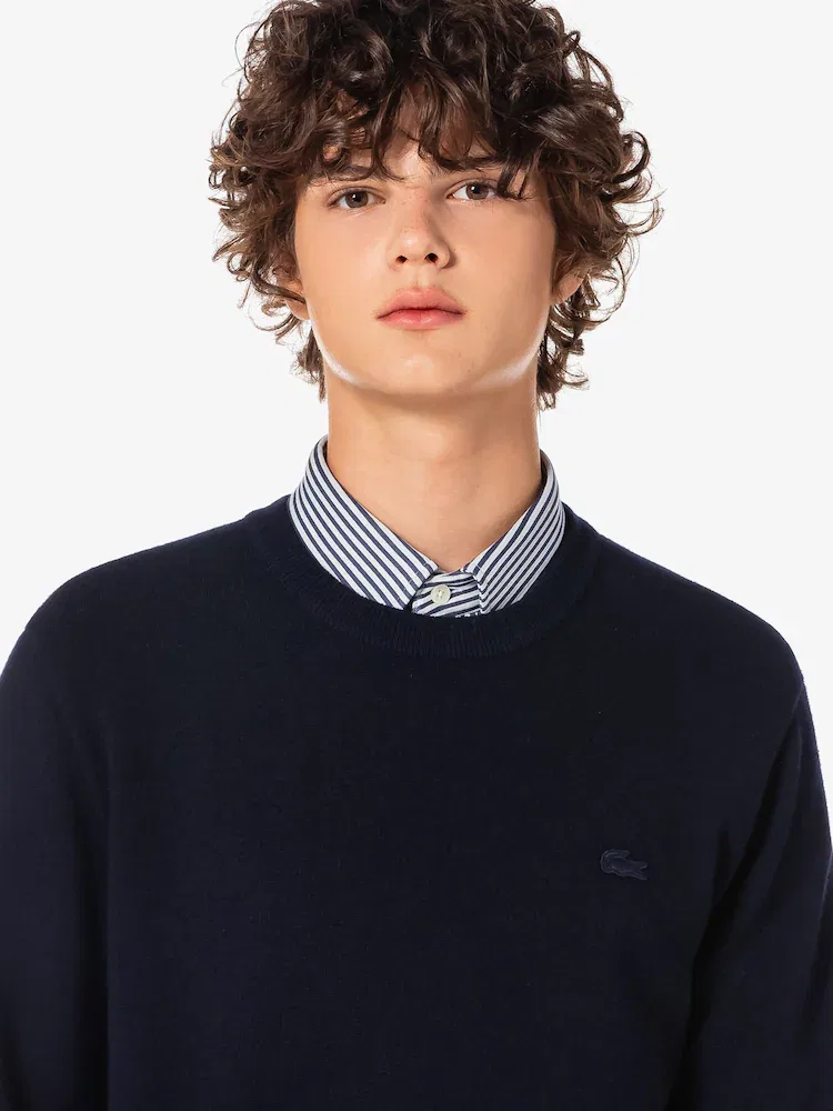 Свитер мужской с круглым вырезом LACOSTE, HDE — фото 2