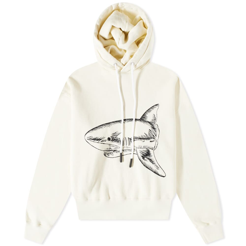 

Толстовка Palm Angels Split Shark Popover Hoody, Серый, Толстовка Palm Angels Split Shark Popover Hoody