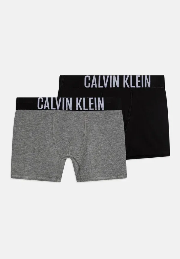 Комплект из 2 боксерских трусов Calvin Klein Underwear, серый