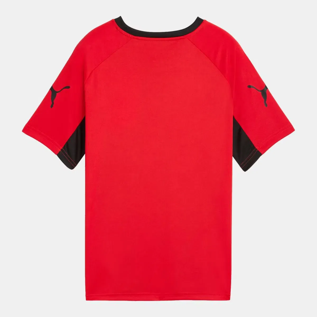 Детская футболка для мальчиков с принтом Liga Graphic Jr Puma, Rojo — фото 2