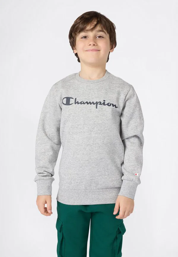 Базовая толстовка с круглым вырезом Champion, Grey