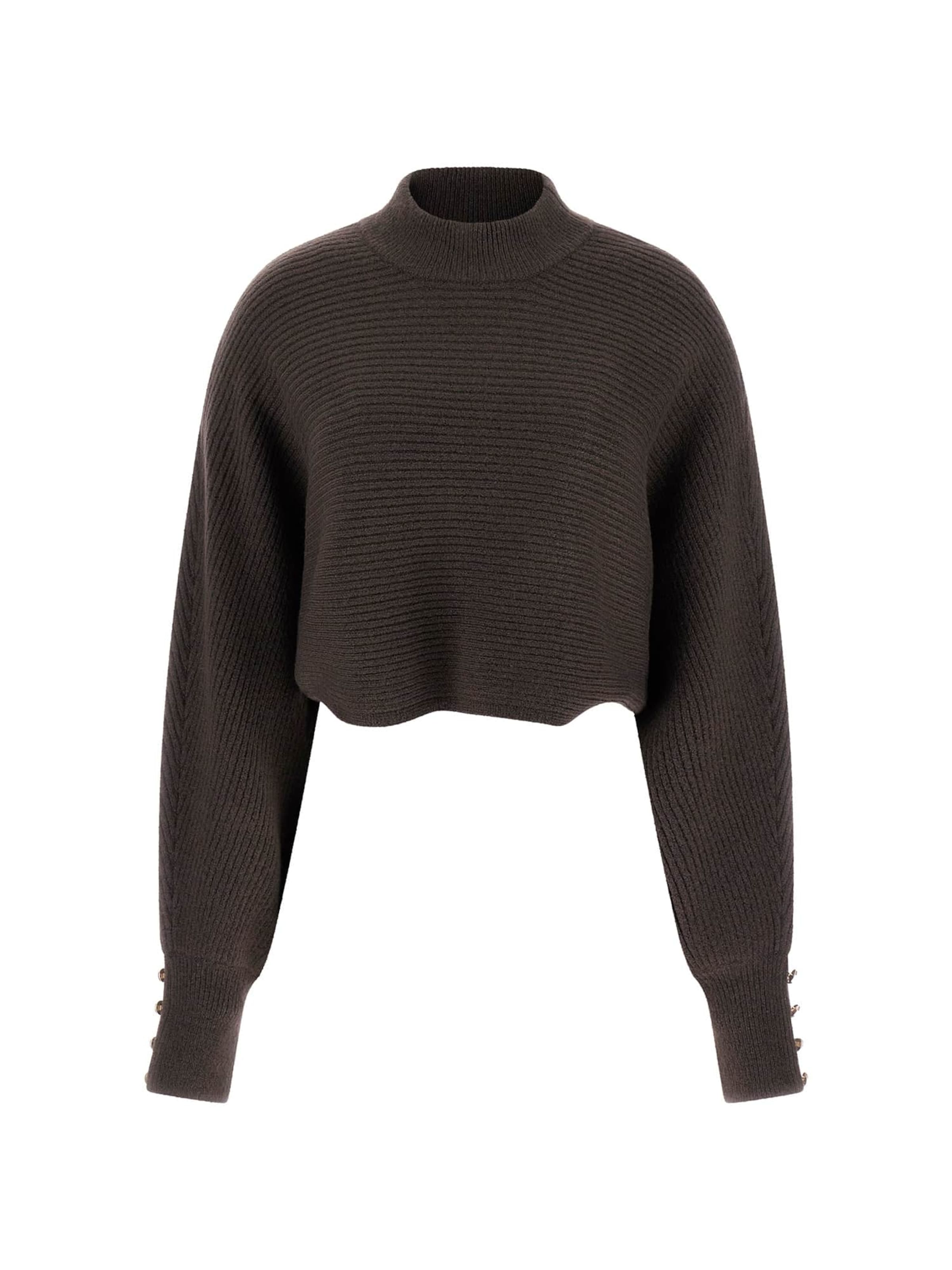 

GUESS Свитер в темно-коричневом цвете