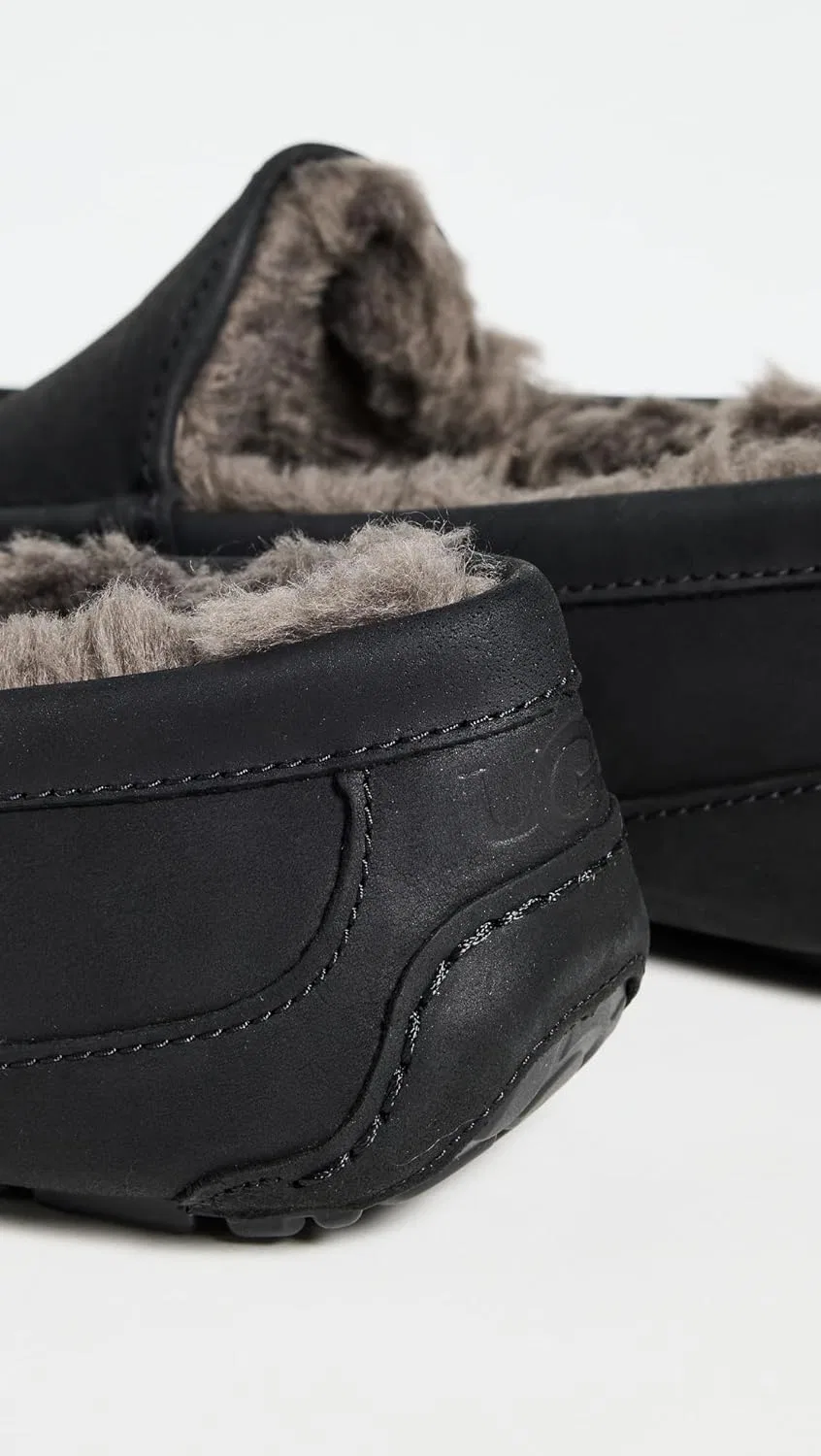 Тапочки мужские UGG Ascot, черная матовая кожа — фото 3