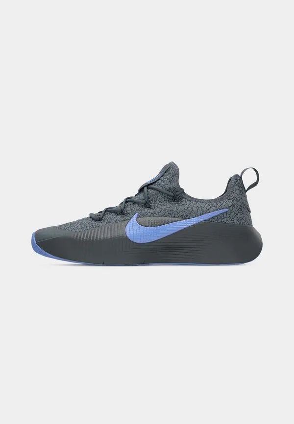 Кроссовки lebron tr 1 для тренировок Nike Performance, Cool Grey/Aluminum/Iron Grey — фото 2