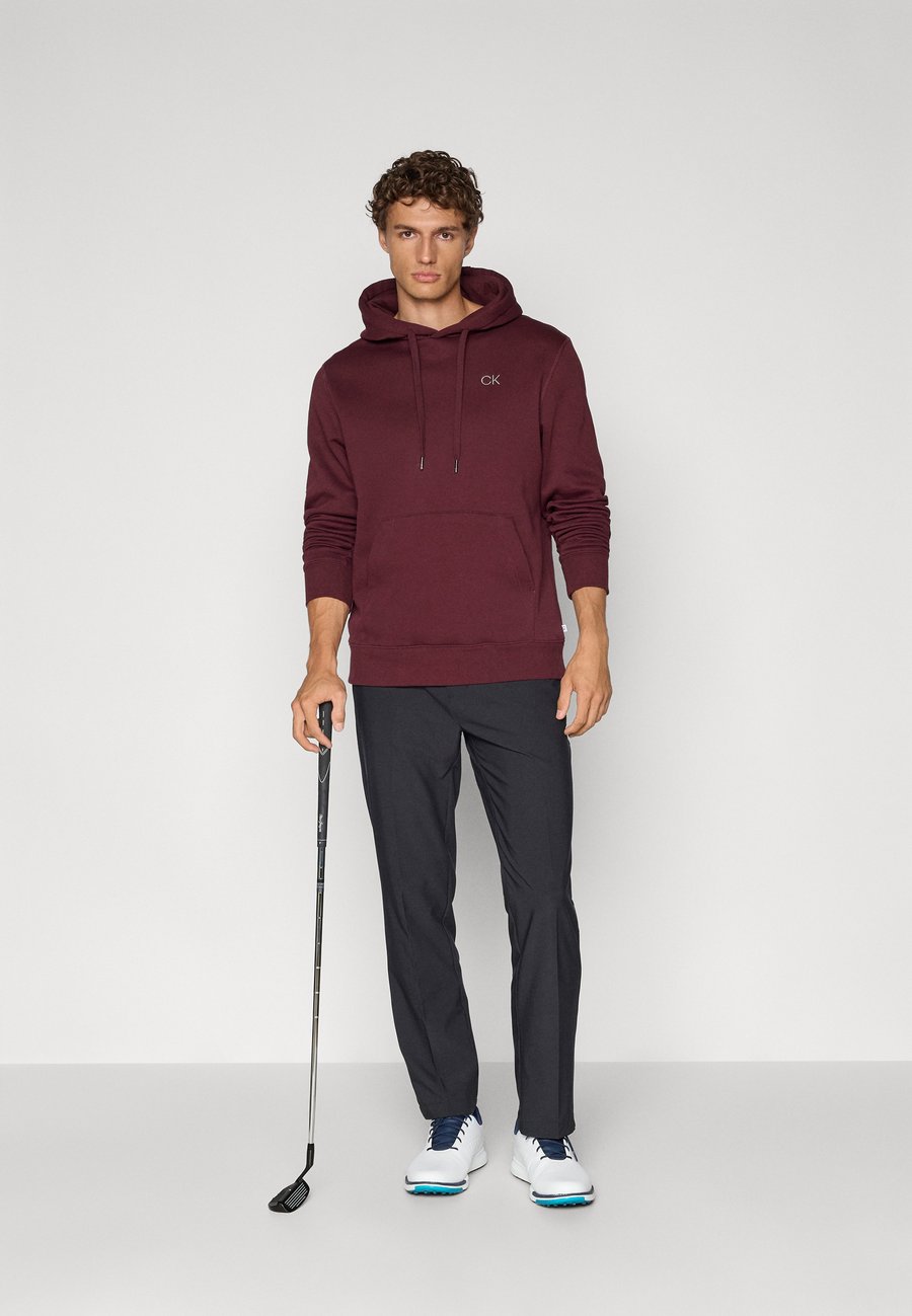 Худи Calvin Klein Golf PLANET HOODIE, Burgundy/Bordeaux — фото 2